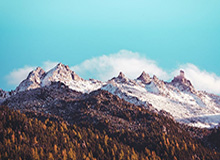 山东男篮社媒分享夏联集锦:今天有你们,所以不平凡!