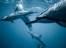 打卡服贸会，120秒解锁体育黑科技的&amp;#34;硬核乐趣&amp;#34;